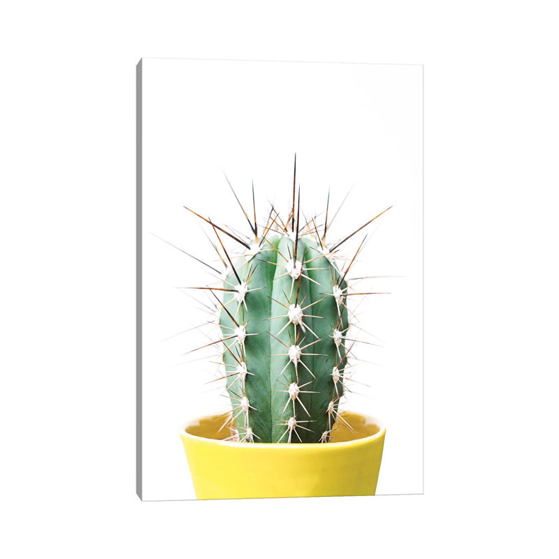 Cactus Friend by Sisi & Seb - Wrapped Canvas Gallery-Wrapped Canvas Giclée, 66.04cm H x 45.72cm W