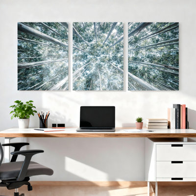 Ensemble de 3 tableaux sur toile tendue représentant la canopée forestière et la cime des arbres.