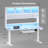 Rissa  Electric Standing Desk with Storage Executive Desk Height Adjustable Gaming Desk-1127200211