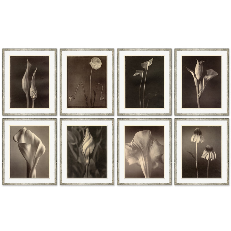 Sepia Flowers 10 Print