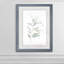 « ethereal eucalyptus ii »-impression du cadre sur verre-316484353-316484409