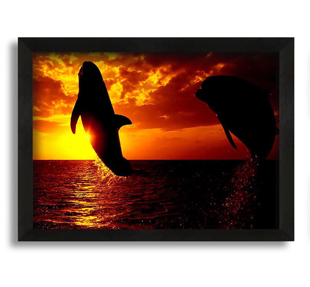 Gerahmter Fotodruck Dolphins Sunglow