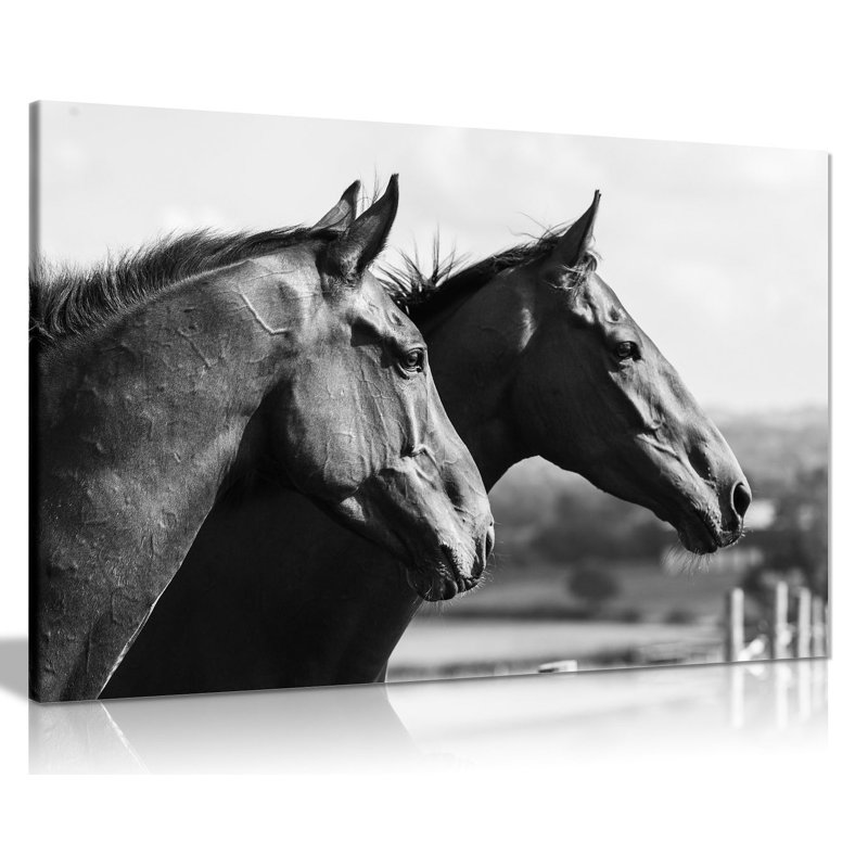 Two Black And White Horses - Wrapped Canvas Print, 20cm H x 31cm W