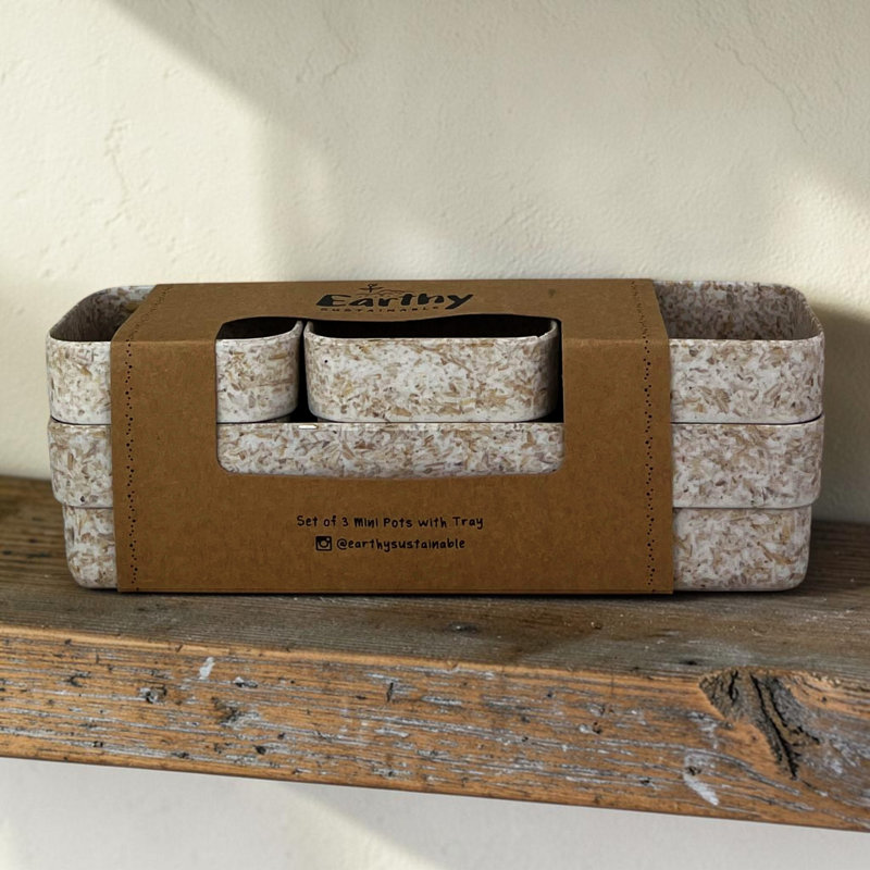 Indoor / Outdoor Pot Planter
