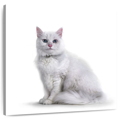 Crowle Elegant White Cat