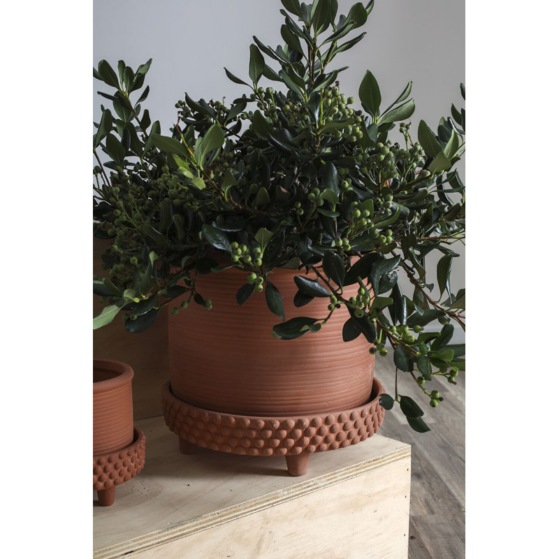 L Round Footed Terracotta "Samara" Planter Pot, 11'' H x 12.5'' W x 12.5'' D, Orange