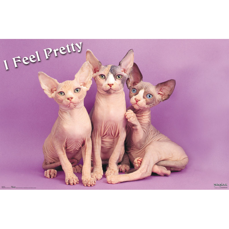 Impression sur papier pretty kitty
