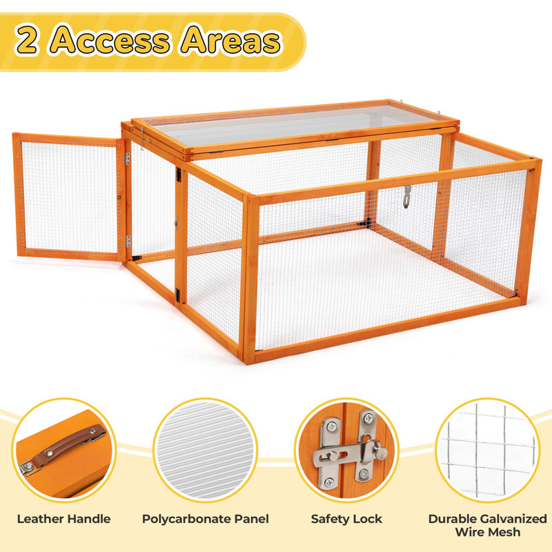 Chicken Coop