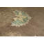 Dharma Floral Area Rug