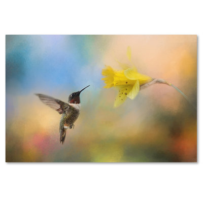 'Garden Visitor' Graphic Art Print on Wrapped Canvas