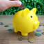 Tirelire cochon-1064784646-1064784644