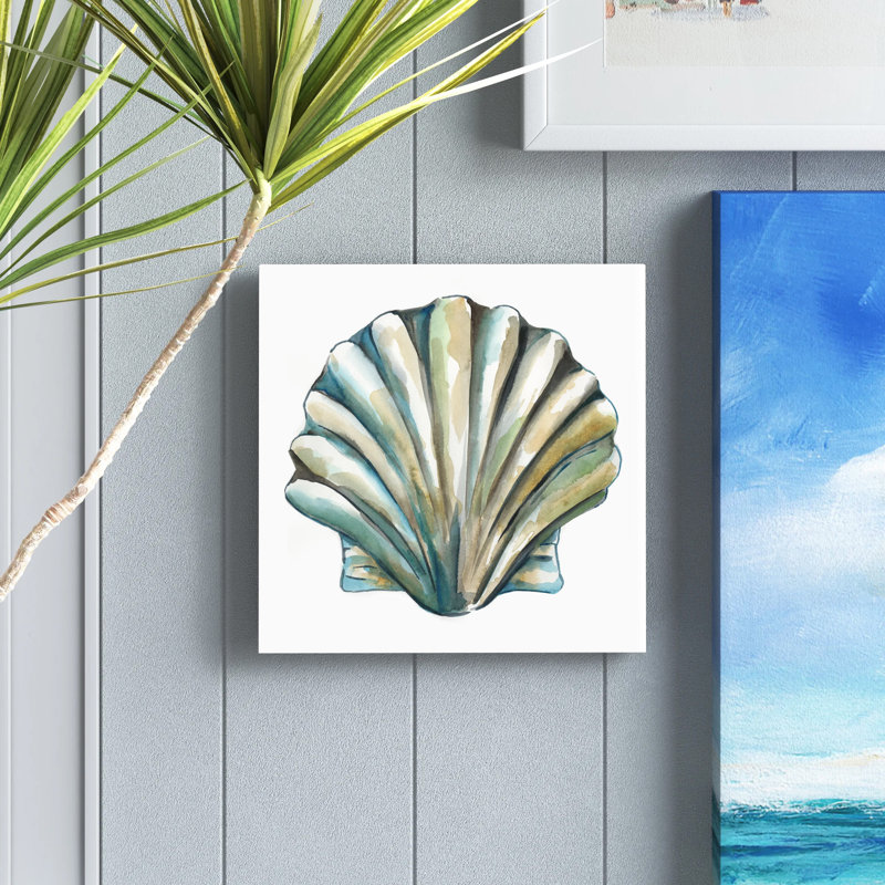Aquarelle Shells VI by Chariklia Zarris - Wrapped Canvas Painting, 30cm H x 30cm W