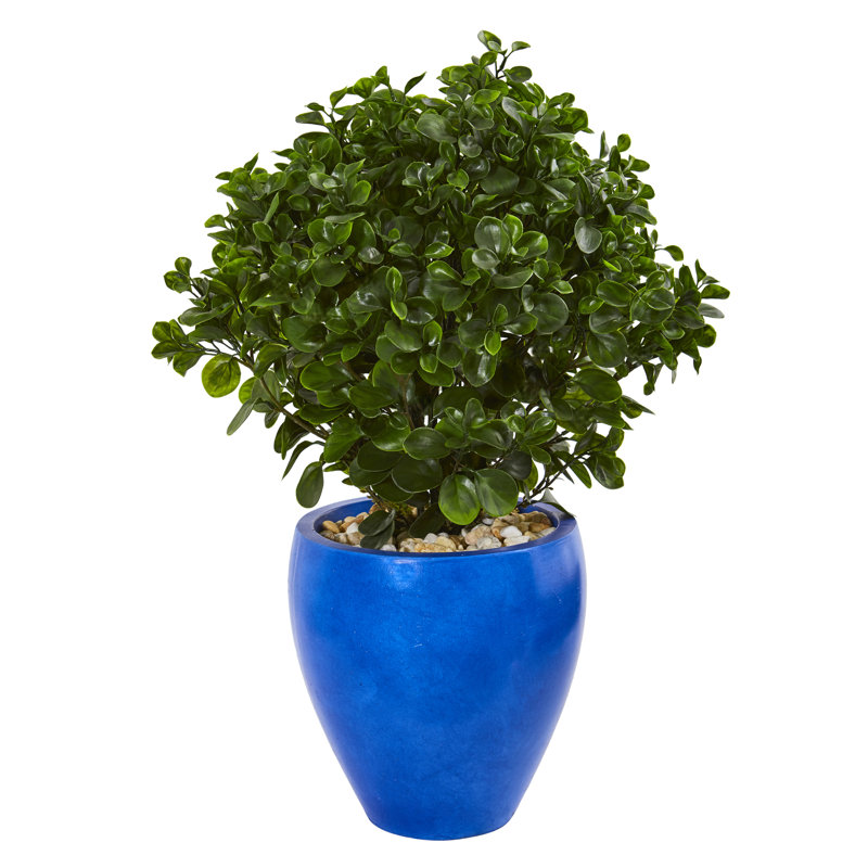 Plante peperomia artificielle en pot de fleurs, Bleu