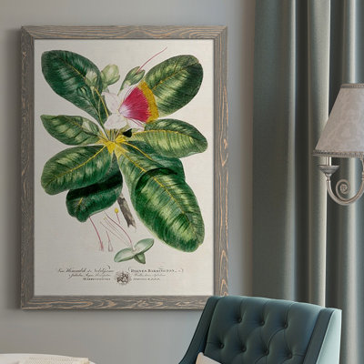 " Imperial Tropical Botanical I "
