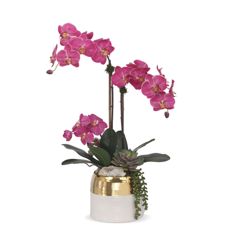 Silk Orchid Arrangement in Pot