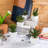 2.75'' Faux Succulent, Cactus Succulent in Ceramic Pot
