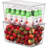 Caydan Set of 12 Fridge Bin