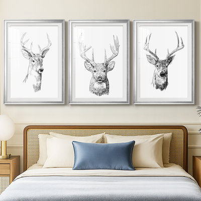Young Buck Sketch I  -Custom Framed  Premium Print W Matt - 3 Pieces
