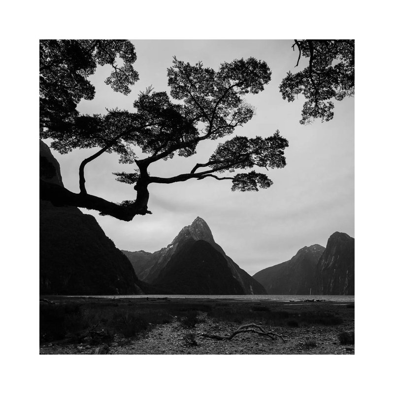 Spring In New Zealand I by Daniel Kordan - Wrapped Canvas Print, 66.04 cm H x 66.04 cm W x 3.175 cm D