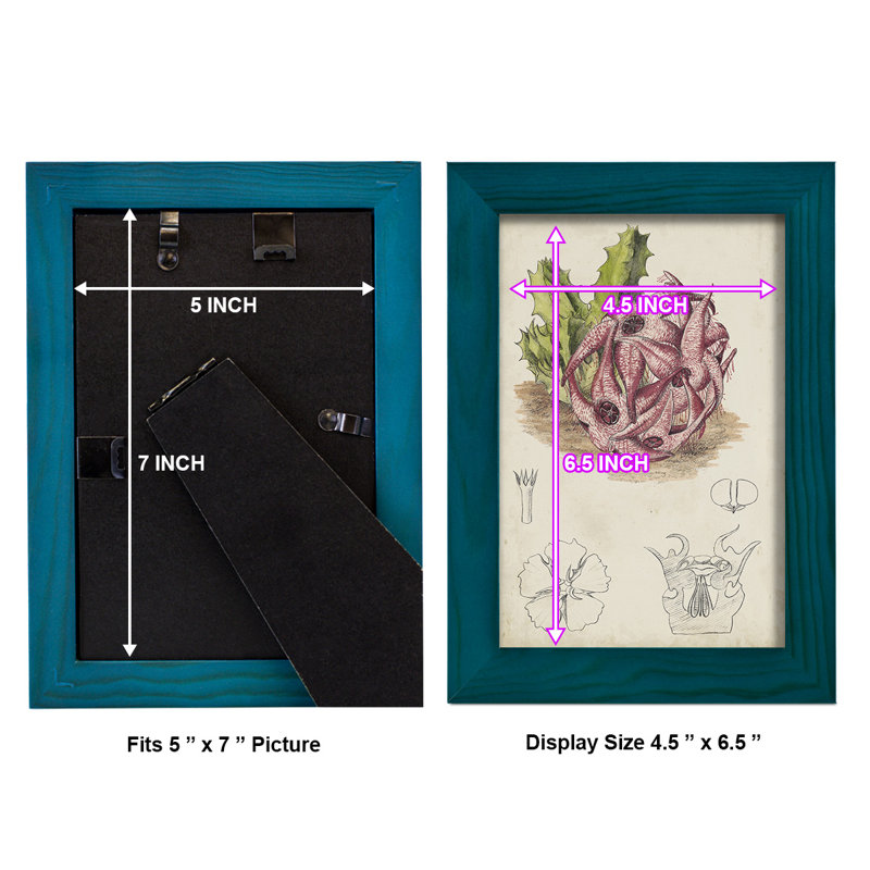Cactus antique III, impression sur papier, H 6 po x l 4 po x P 1 po, Bleu
