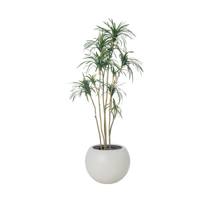 81.75'' Artificial Dragon Tree In A White Fishbowl Planter Perfect For Indoor And Outdoor Use