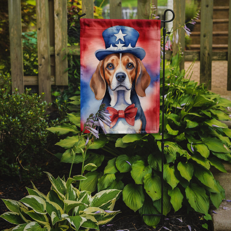 Drapeau patriotique du jardin américain, Beagle