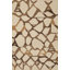 Abstract Area Rug in Beige/Brown