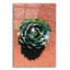 " Utah - Cactus 3 "-706084566
