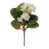 Blanc, vert