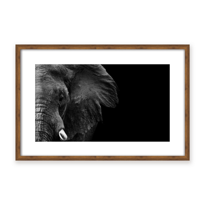 Nature Inspired Elephant by  - Picture Frame Photograph on Paper, 16" H x 24" W x 1.125" D, Brown, Framed Print
