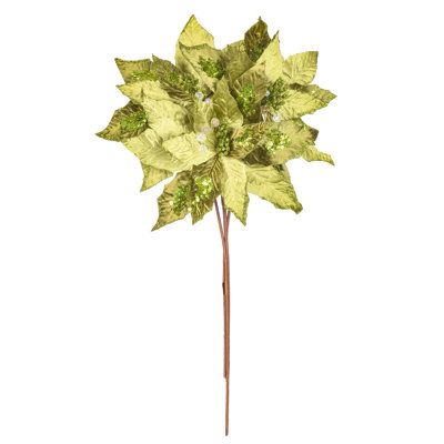 Tige de poinsettia