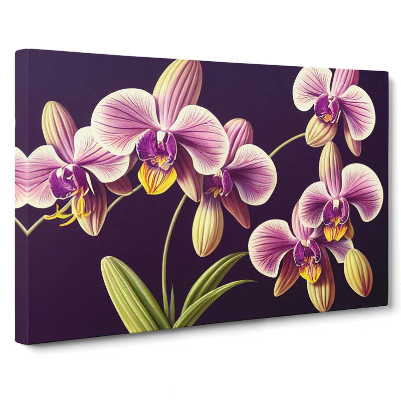Captivating Orchid Flowers - Wrapped Canvas, 35cm H x 50cm W x 3cm D