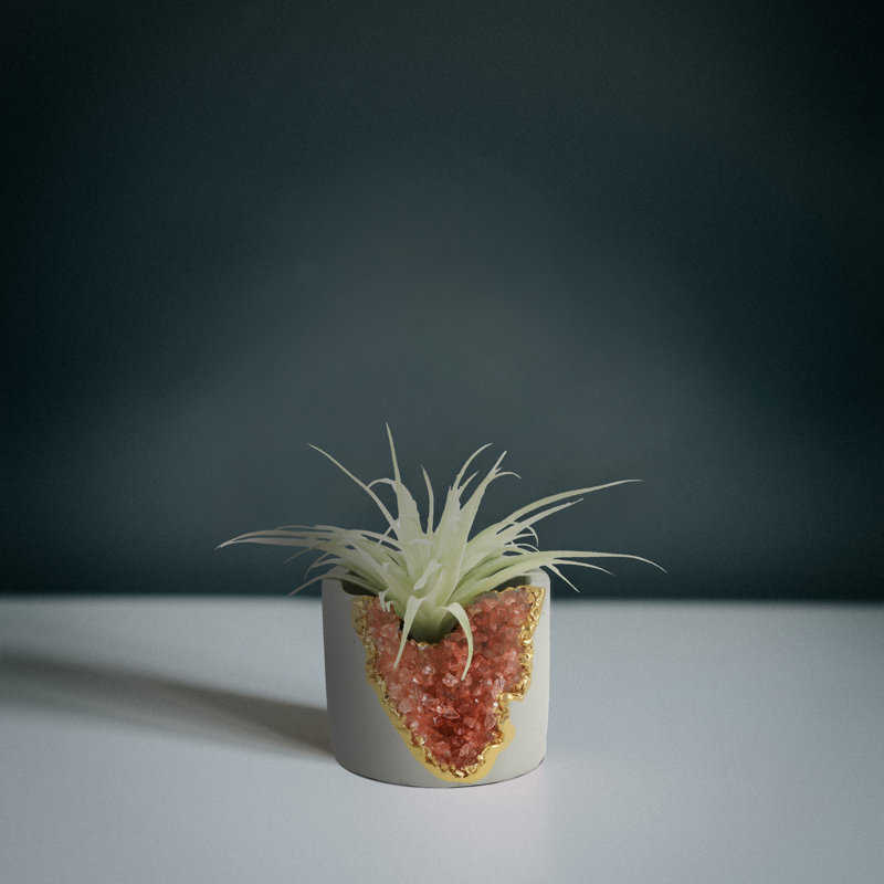 Plante grasse artificielle en pot 2,05 po