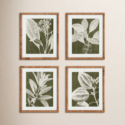 Translucent Stem 4-Piece Print Set