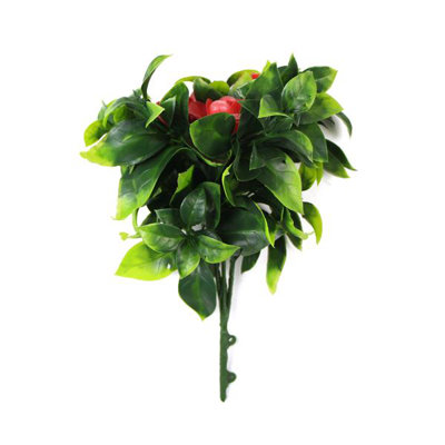 Aneris Arrangement