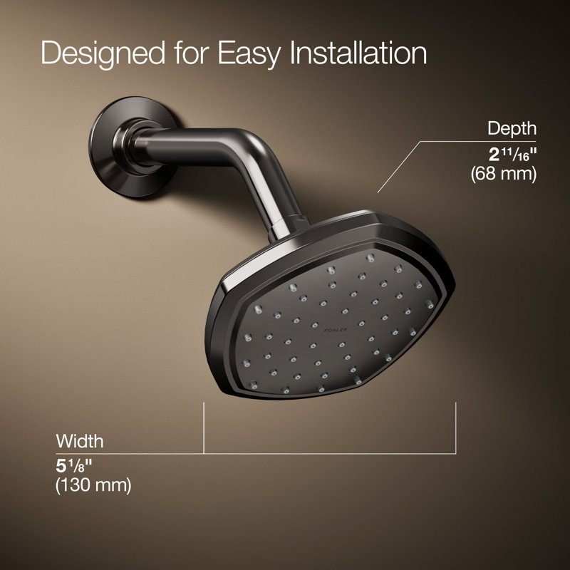 Occasion Single-Function Showerhead, Vibrant Titanium