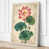 Cream Border
