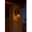 Casa 1-Light Outdoor Wall Lantern