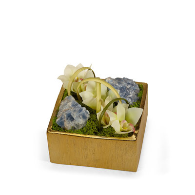 Orchid Arrangement in Planter