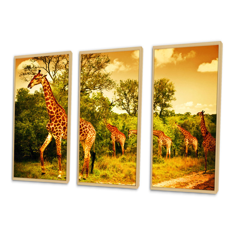 South African Giraffes - Ensemble de 3 reproductions d'art encadrées sur toile, H 28 po x l 36 po x P 1 po