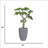 55.1"H Real-touch beauty Bonsai