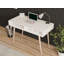 Wellman Writing Desk-667229345