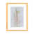 Natural Wood Paper is unavailable