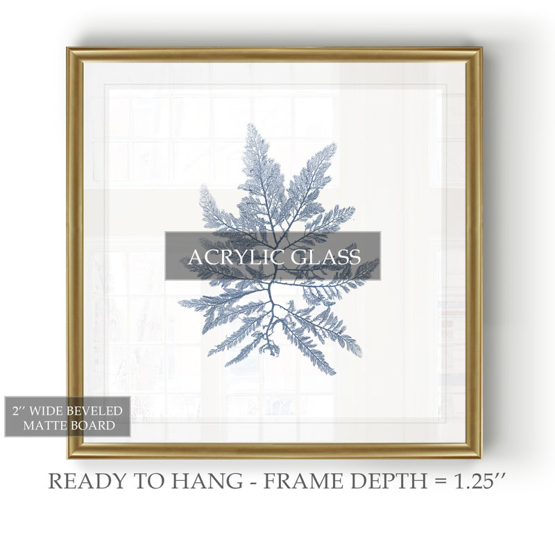 Marine Seaweed II - impression sur toile tendue, Cadre doré, H 26,5 po x l 26,5 po x P 1,5 po