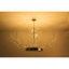 Lustre en corne de bois de lucite clair nickel poli clair-130734762-90566122-90566124