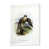 Cadre photo blanc