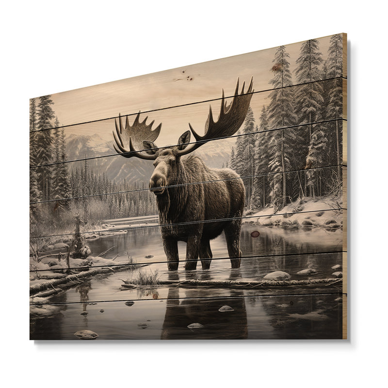 " Brown White Moose Winter Majesty ", 30" H x 40" W x 0.78" D