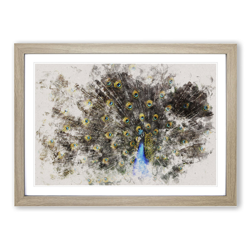 Peacock Vol.1 - Picture Frame Graphic Art, 27cm H x 36cm W x 2cm D, Oak Framed