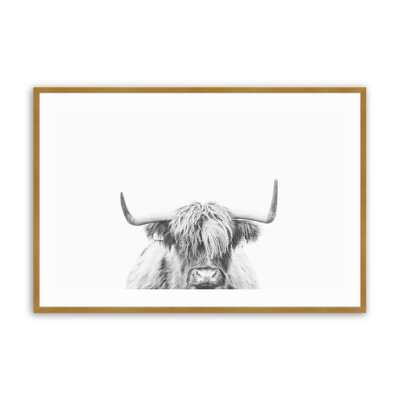 Imprimé Highland Pride
