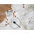 Amelie Piazza 30 Piece Porcelain Dinnerware Set - Service for 6